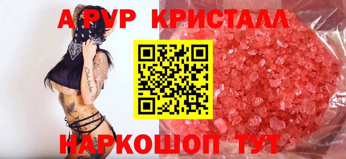 A PVP СК Волжск