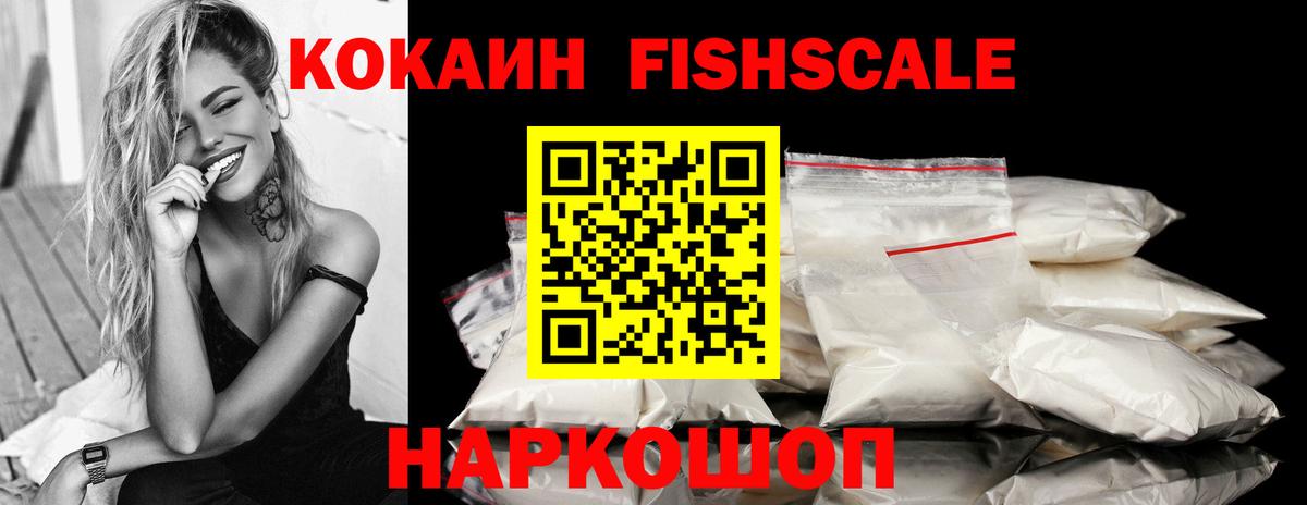 Волжск  COCAIN Fish Scale  COCAIN  Вход с VPN 