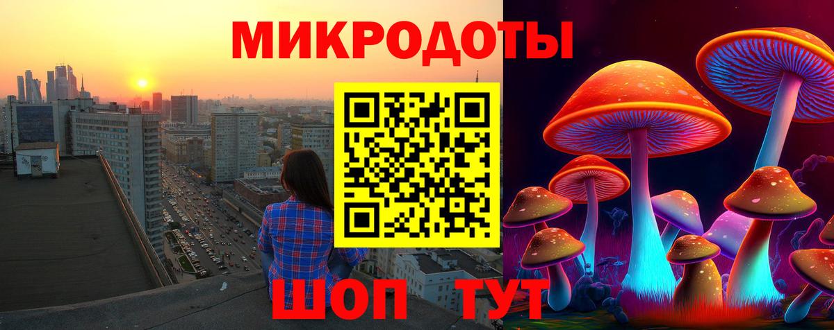 Галлюциногенные грибы прущие грибы Волжск