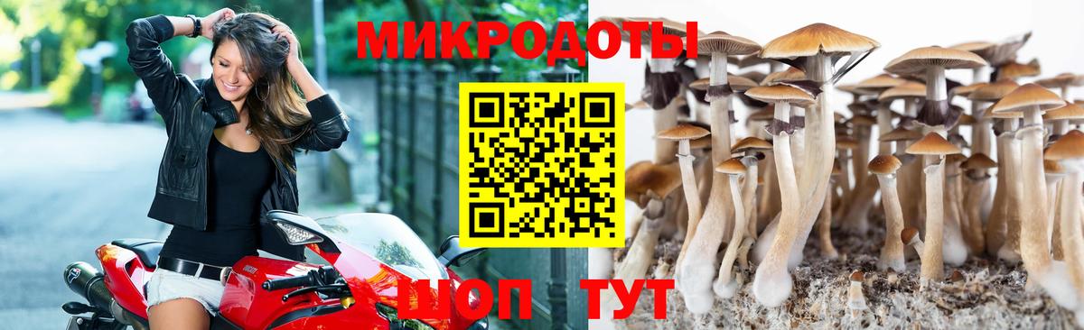 Псилоцибиновые грибы Cubensis  Галлюциногенные грибы Cubensis  Вход с VPN  Волжск 